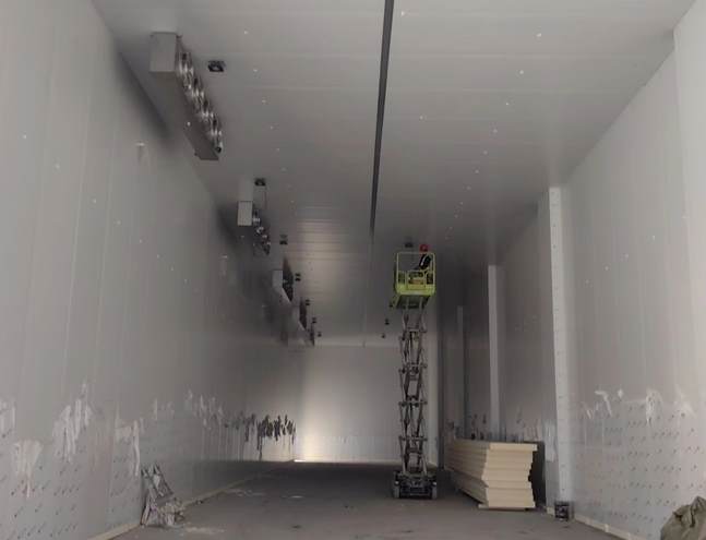 栗子冷庫怎么存放？科學管理讓栗子保鮮更持久